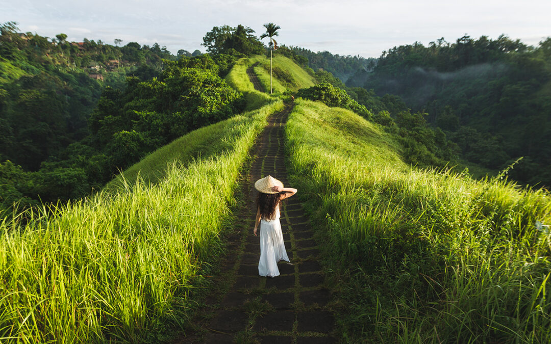 The Art of Listening: Finding Serenity in Nature’s Symphony