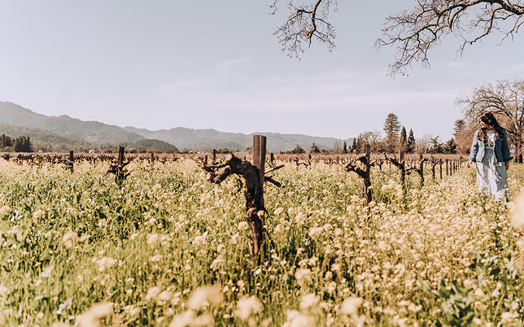 Resetting Your Thinking During Seasonal Change